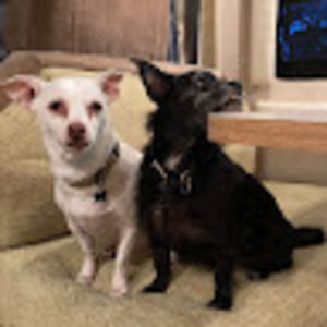 Meet your Posher, Sherrill anne